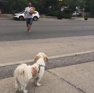 Meet your Posher, Mark